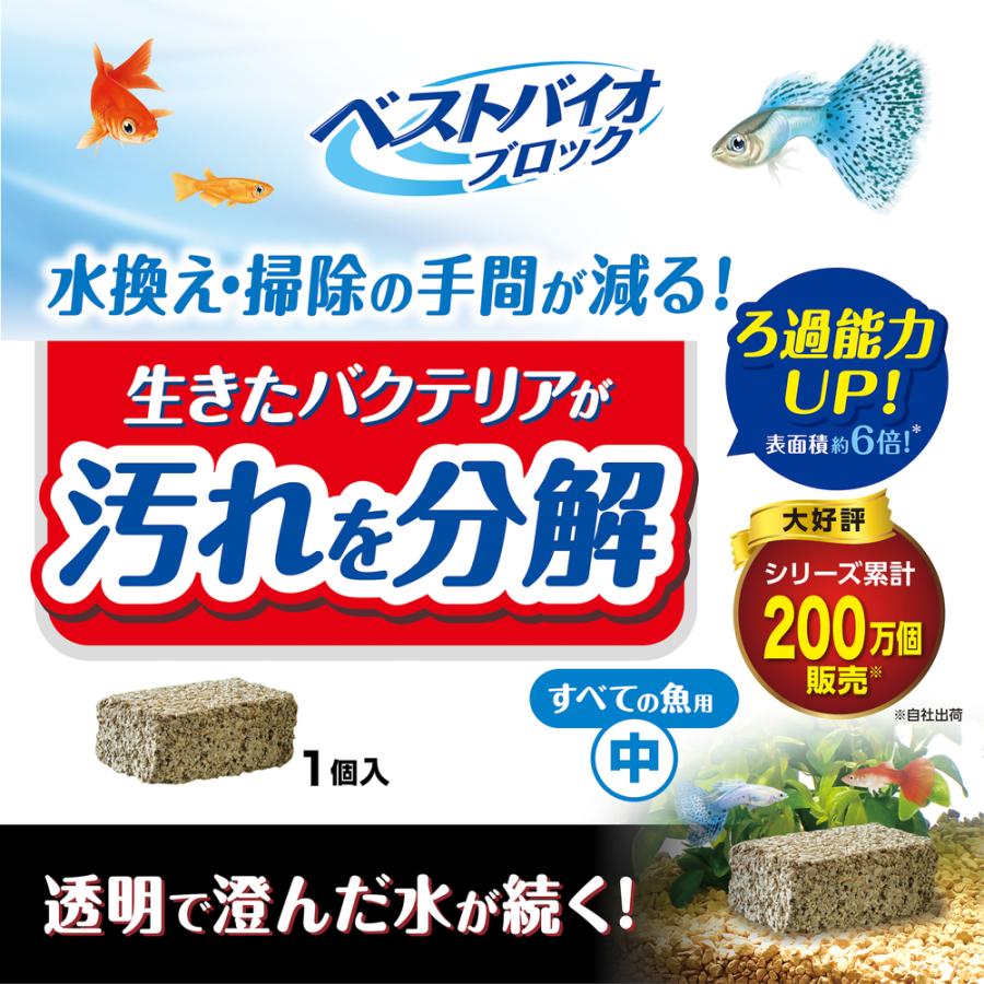 GEX（ジェックス） ベストバイオブロック 中 バクテリア 石 多孔質