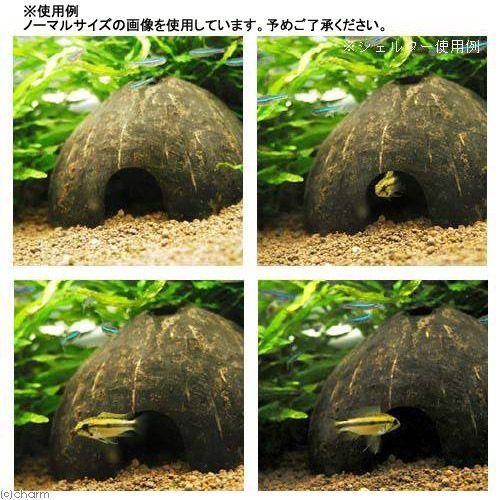 Leaf Corp 形状お任せ ヤシの実シェルター ハーフカット スモール