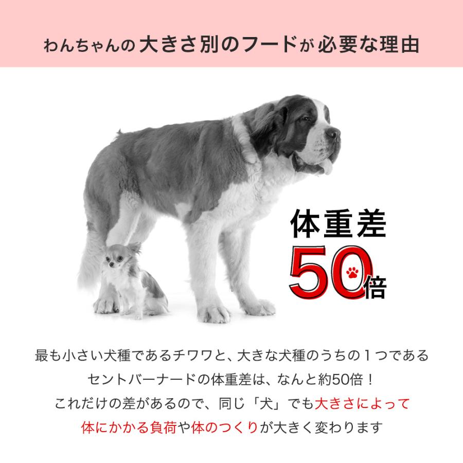 ロイヤルカナン　ミニ　アダルト　８＋　中高齢犬用　２ｋｇ　３１８２５５０８３１３８３　ジップ付　お一人様５点限り｜chanet｜02