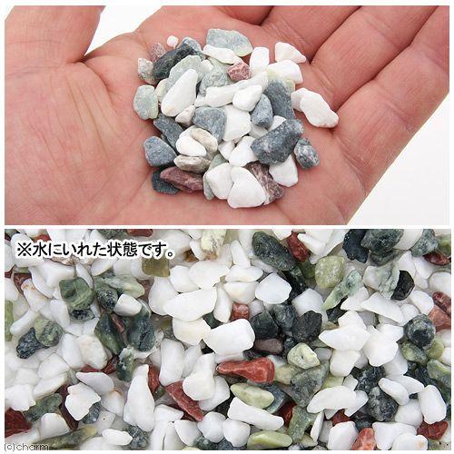 人気スポー新作 水作 水槽の底砂シリーズ 新五色石 ０ ８ｋｇ 金魚 底床334円 Aynaelda Com