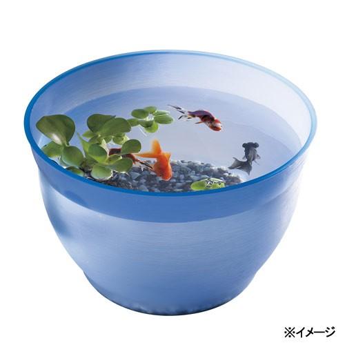 スドー 金魚の小鉢 るり 瑠璃 金魚鉢 チャーム Charm Paypayモール店 通販 Paypayモール