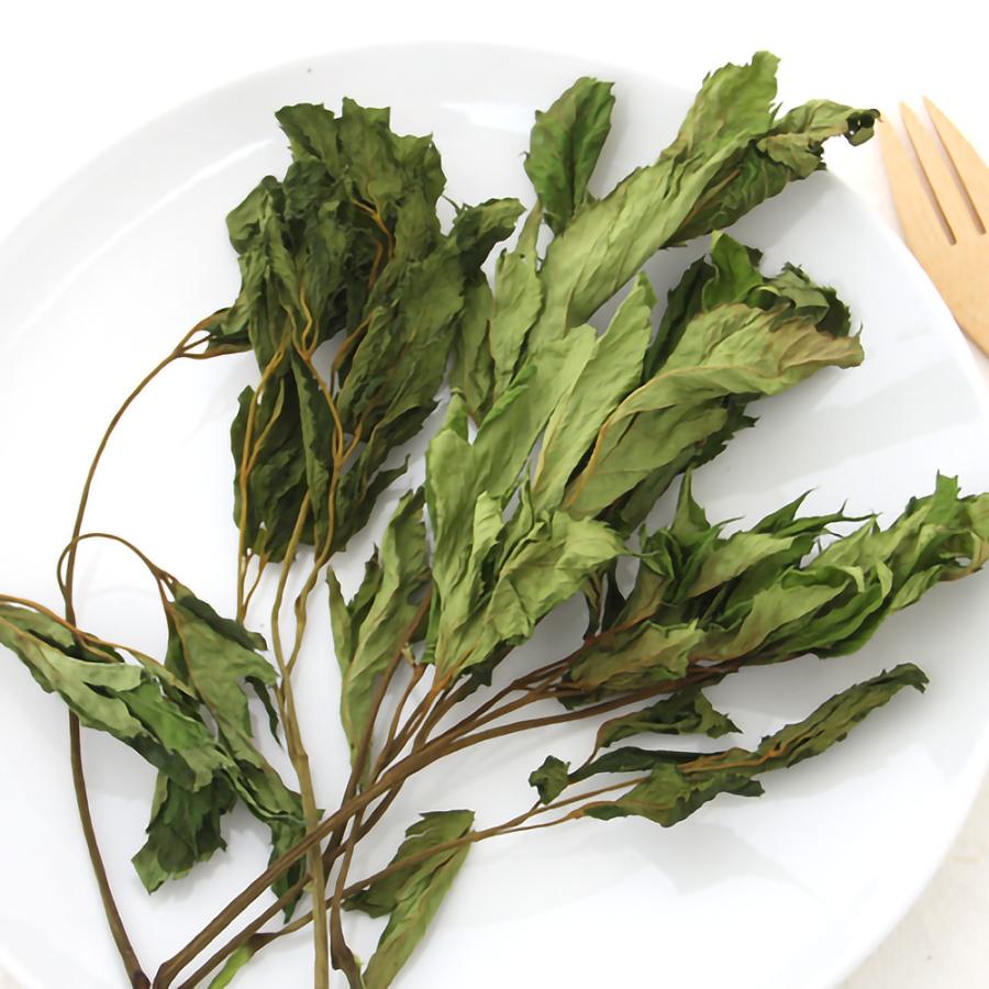 Leaf Corp 国産 あしたば 10g 小動物のおやつ うさぎ ハムスター 無