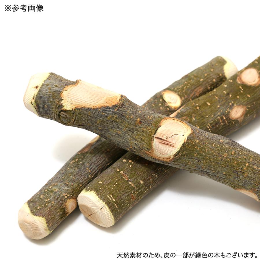 Leaf Corp 国産 りんごの木 犬用 2本入 おもちゃ 無添加 無着色 小型