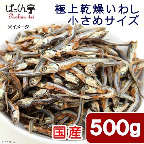 国産 極上乾燥いわし ５００ｇ １００ｇ ５袋入り 真空パック 小さめサイズ 無添加 無着色 犬猫用おやつ ぱっくん亭 チャーム Charm Paypayモール店 通販 Paypayモール
