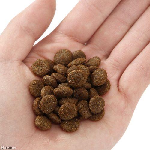 アルモネイチャー ホリスティックドライ 小型犬用 サーモン 2kg×5袋セット アルモネイチャー ドッグフード DOG ホリスティック ドライフード