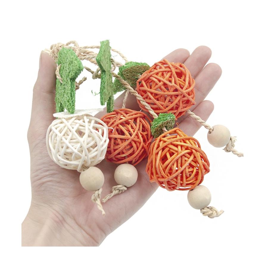 三晃商会　ナチュラルハンガー　フルーツ　鳥　おもちゃ | 三晃商会 | 01