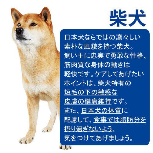 ドッグフード　プロマネージ　成犬用　柴犬専用　１．７ｋｇ×６