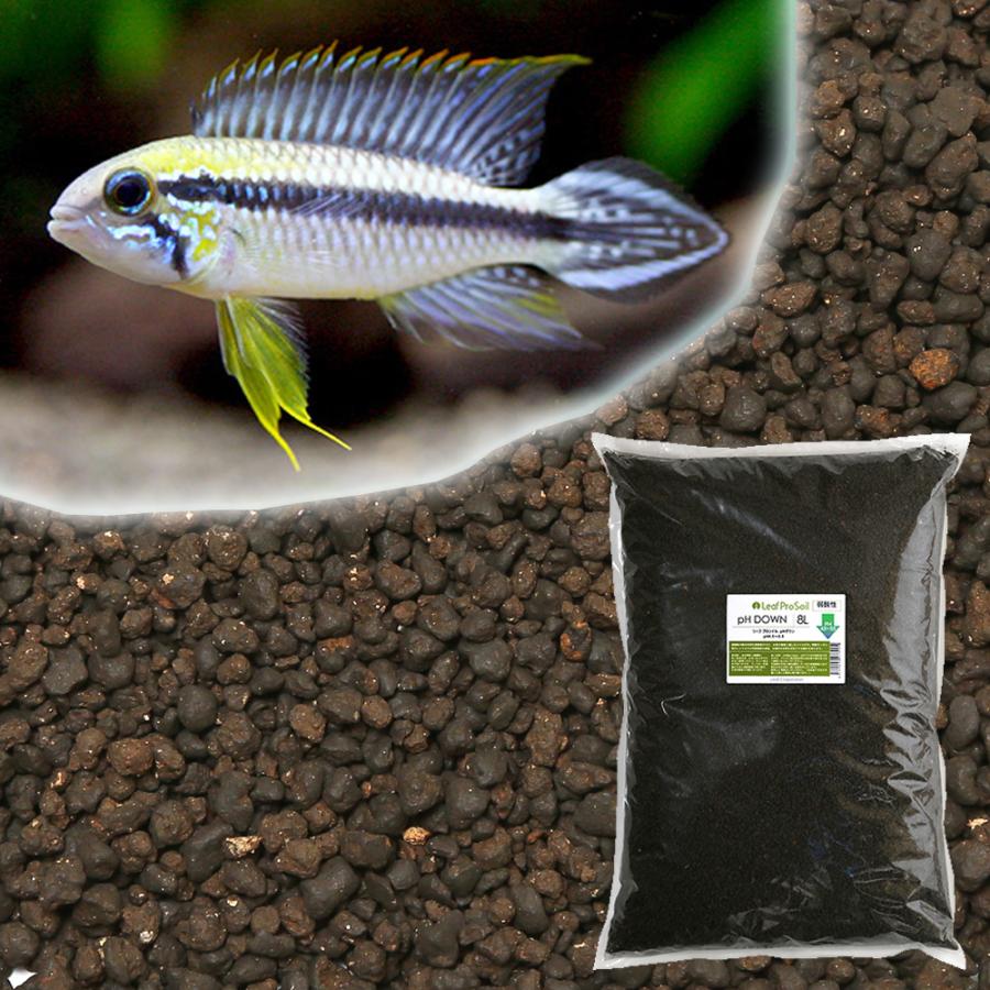 お一人様３点限り 魚が簡単に飼える リーフプロソイル ｐｈダウン ８ｌ 熱帯魚 国産 21新作 用品 吸着ソイル ｐｈ４ ５ ５ ５