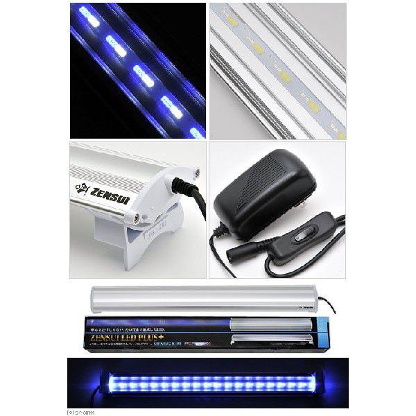 最大90 Offクーポン ｚｅｎｓｕｉ ｌｅｄ ｐｌｕｓ ６０ｃｍ シャイニングブルー 水槽用照明 ライト 海水魚 サンゴ 沖縄別途送料 アクアリウム ライト9 0円 Aynaelda Com