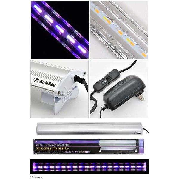 ゼンスイ ゼンスイ LED PLUS 60cm ビューティー ゼンスイ ゼンスイ LED PLUS 60cm ビューティー