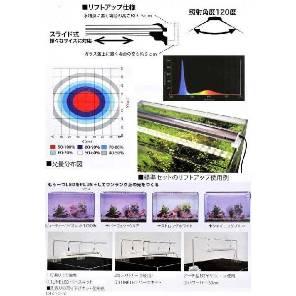 ゼンスイ ゼンスイ LED PLUS 60cm ビューティー ゼンスイ ゼンスイ LED PLUS 60cm ビューティー