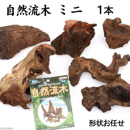 ニッソー 形状お任せ 自然流木 ミニ（約15cm以下） 1本