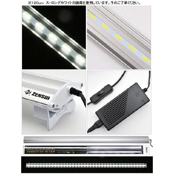 ゼンスイ アウトレット品 メーカー直送 LED PLUS 150cm