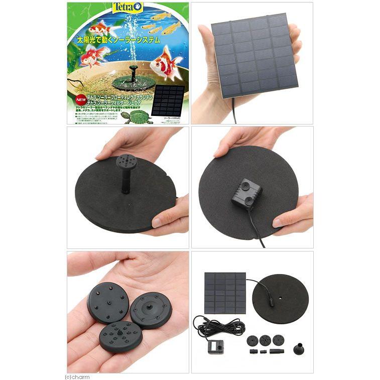 ビオトープ めだか ソーラーパワーで楽しむ噴水つき睡蓮鉢セット 温帯性睡蓮 赤 鉢グレー ヒメダカ６匹 餌 カルキ抜き 本州四国限定 即日発送