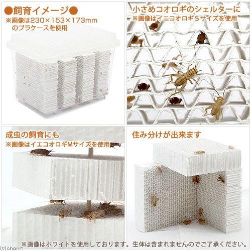 コオロギ用ペーパシェルター(4枚入り) 昆虫 コオロギ 飼育 ハウス ケース|chanet|02