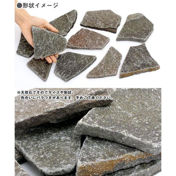 形状お任せ　爬虫類用バスキングスポット　〜ウォーム・プレート〜　Ｍサイズ（約１０〜２０ｃｍ）　５個　爬虫類　レイアウト素材 | チャーム（ペット） | 01