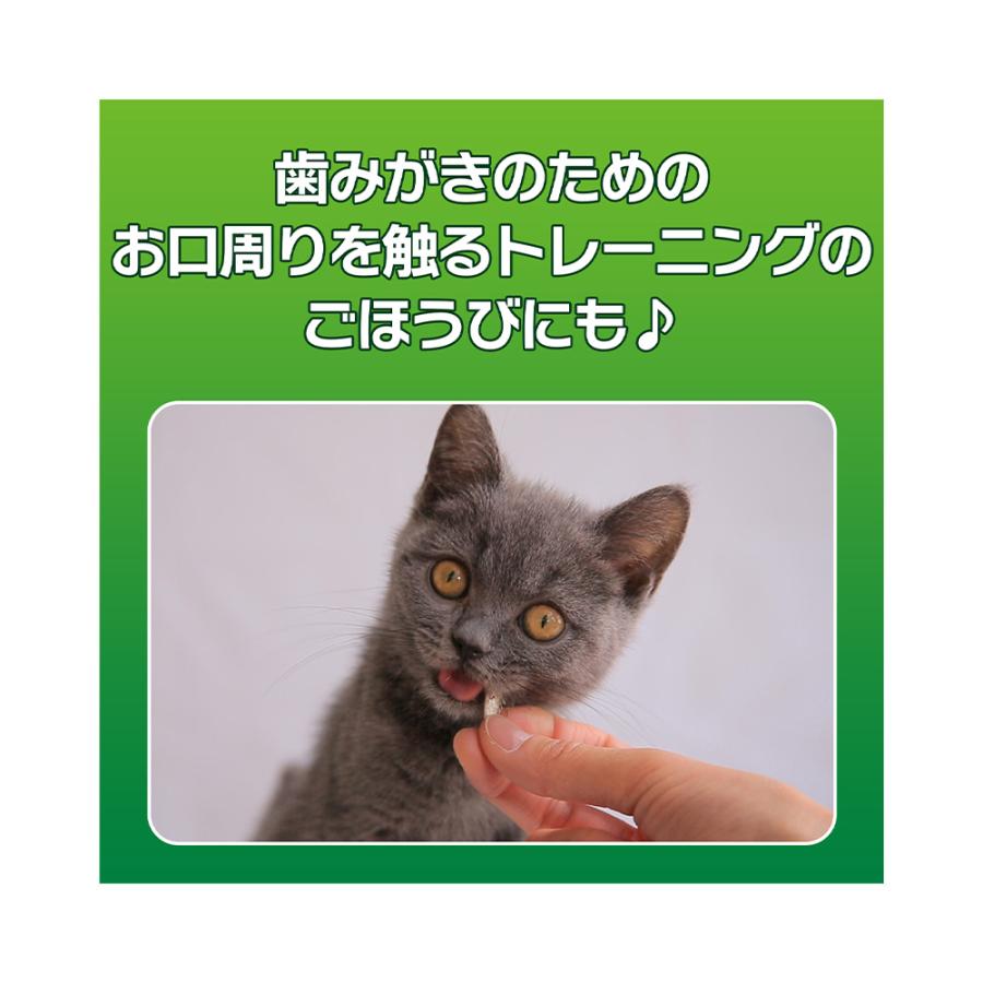 PETKISS ライオン ペットキッス PETKISS ネコちゃんの歯みがき
