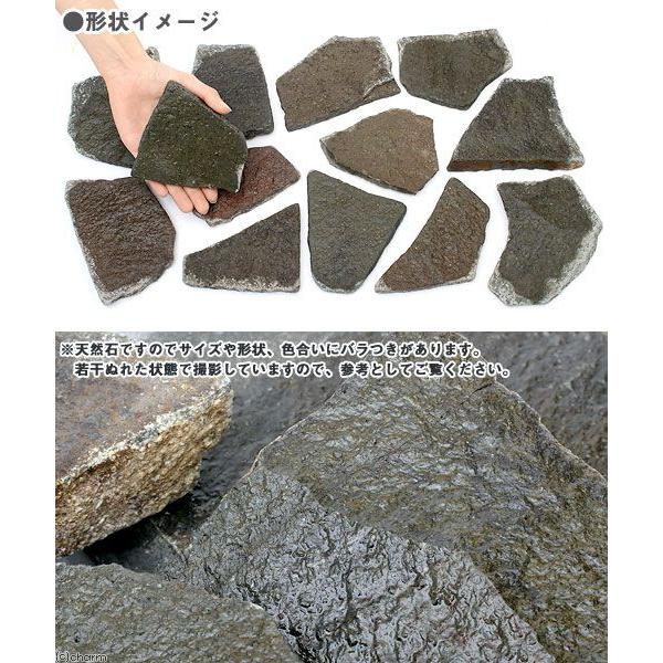 チャーム（charm） 輝板石 Mサイズ 約10〜20cm 2枚 形状お任せ