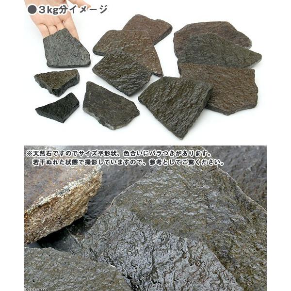 チャーム（charm） 輝板石 3kg 約3〜20cm 30cm水槽向け