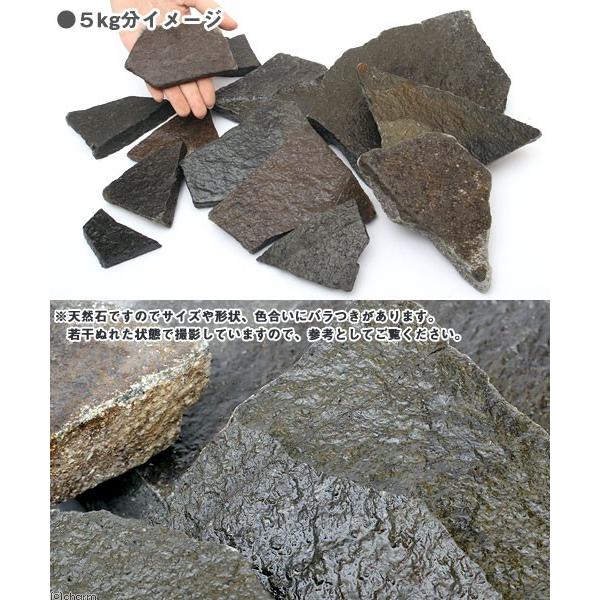 チャーム（charm） 輝板石 5kg 約3〜20cm 45cm水槽向け