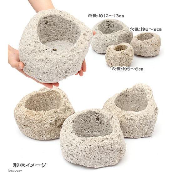 チャーム（charm） 鉢 抗火石鉢 大 穴径11〜12cm 1個 形状お