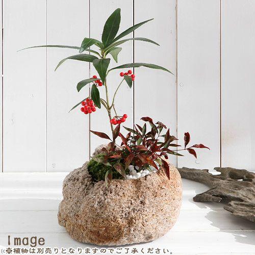 チャーム（charm） 鉢 抗火石鉢 大 穴径11〜12cm 1個 形状お