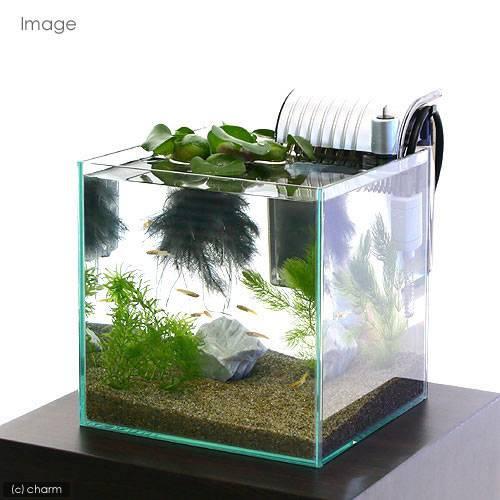 （めだか）（水草）おしゃれにテーブルで楽しむメダカ水槽セット　説明書付　飼育セット　本州四国限定 | チャーム（ペット） | 01