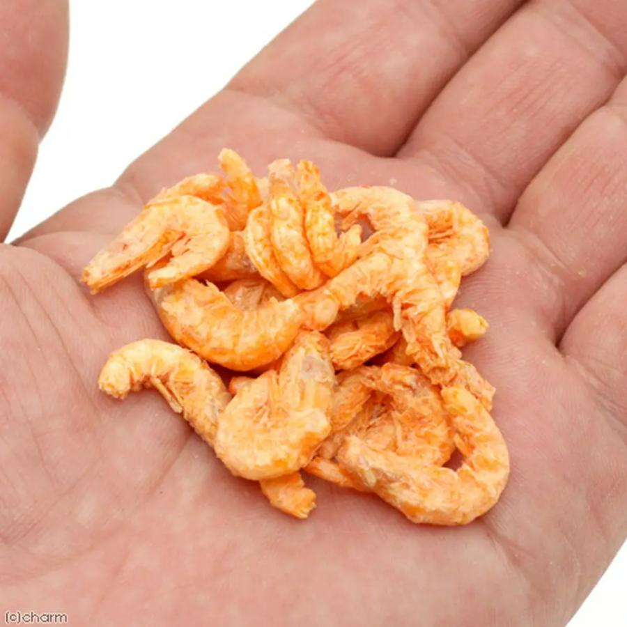 ジュン JUN プレミアムクリル 20g 大粒タイプ 大型魚 アロワナ