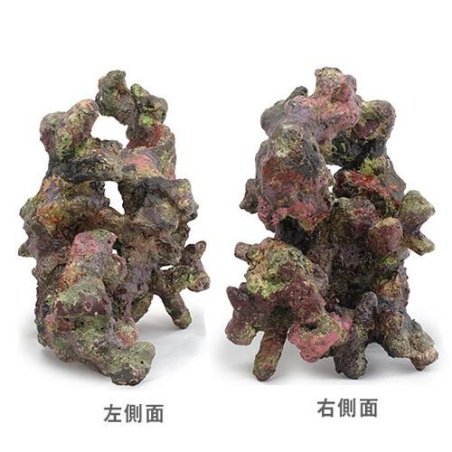 ライブロックモジュールA 擬岩 ライブロックモジュール A アクアリウム 擬岩 : チャーム charm