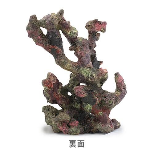 ライブロックモジュール C アクアリウム 擬岩 : チャーム charm
