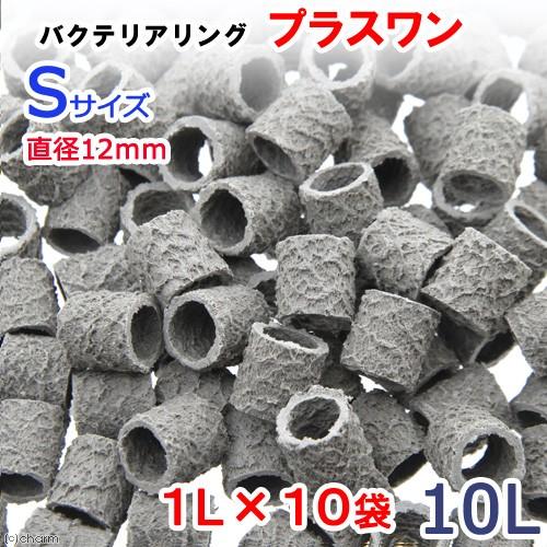 第1位獲得 バクテリアリング プラスワン ｓサイズ 直径１２ １０ｌ 売り切れ必至 Turningheadskennel Com