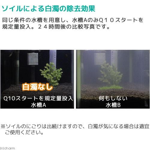 魚・エビに優しいカルキ抜き　Ｑ１０スタート　淡水用　２５０ｍＬ３本セット　植物由来　白濁除去水槽　立ち上げ　初期　解消　金魚　ソイル｜chanet｜03