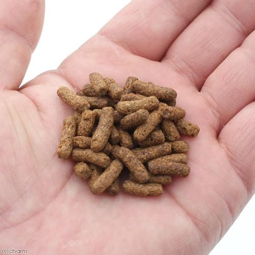 保障 ｆｆ ｎｕｍ１００ アロワナ用 スティック 浮上性 ８００ｇ プレミアム健康管理フード 大型魚 アロワナ 餌 エサ えさ Aynaelda Com