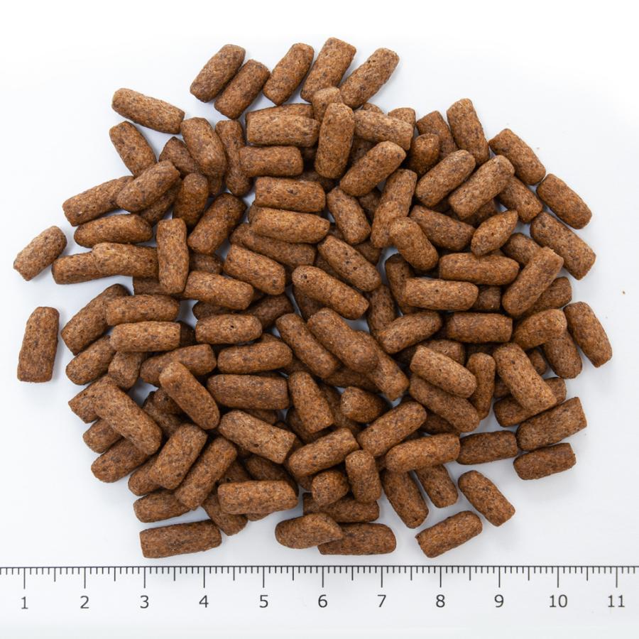 Leaf Corp 業務用 ff num100 アロワナ用 スティック（浮上性