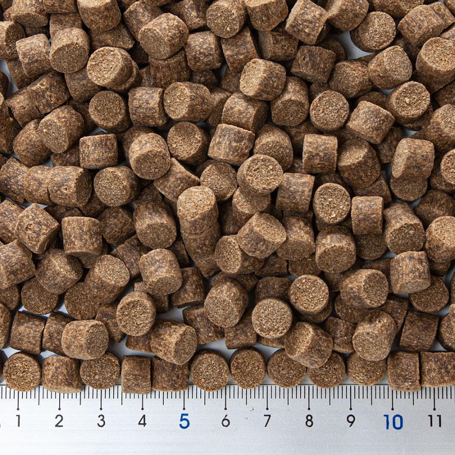 Leaf Corp ff num200 ナマズ・大型肉食熱帯魚用 タブレット