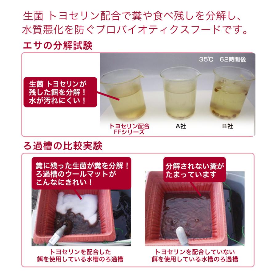 ｆｆ　ｎｕｍ２００　ナマズ・大型肉食熱帯魚用　タブレット（沈下性）　８００ｇ　プレミアム健康管理フード　大型魚　餌　エサ　えさ｜chanet｜04