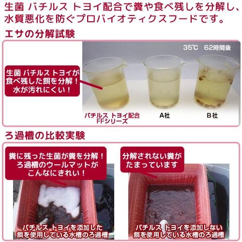 ｆｆ 1年保証 ｎｕｍ３００ フラワーホーン用 スティック 浮上性 １００ｇ えさ プレミアム健康管理フード エサ 餌 大型魚