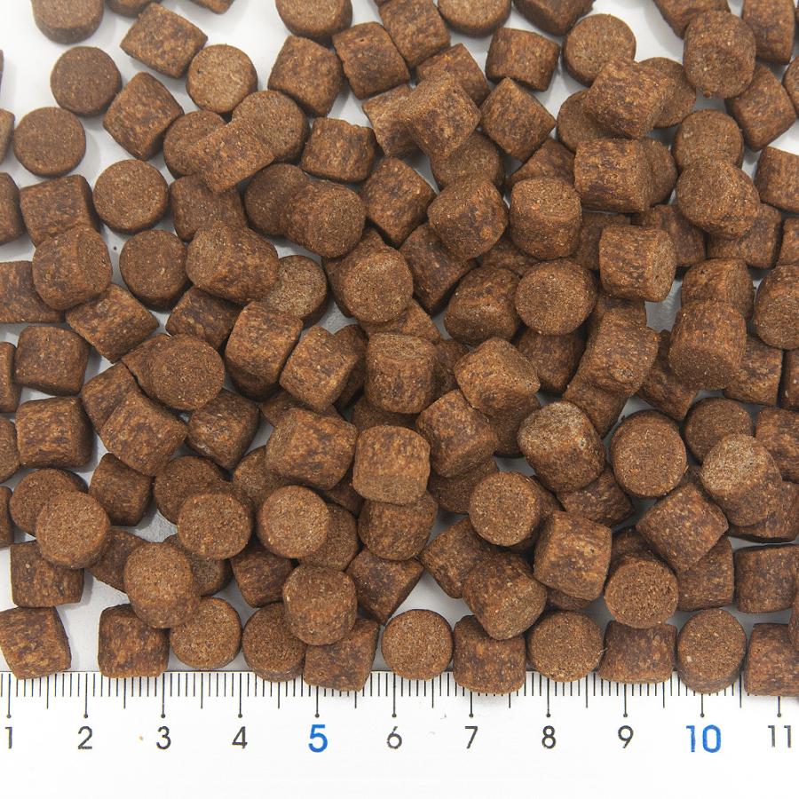 ｆｆ　ｎｕｍ５００　エビ用　ペレット（沈下性）　１００ｇ　プレミアム健康管理フード | Leaf Corp | 02