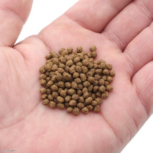 カメプロス ペレットフード 70g✕32 カメプロス ペレットフード 70g✕32