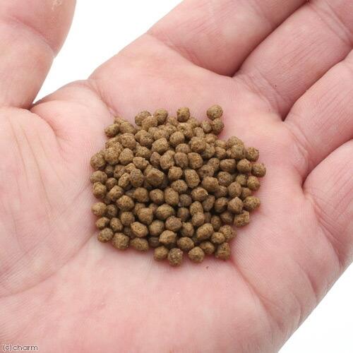 Leaf Corp ニオイ・汚れを抑える ff num600 水棲カメ用