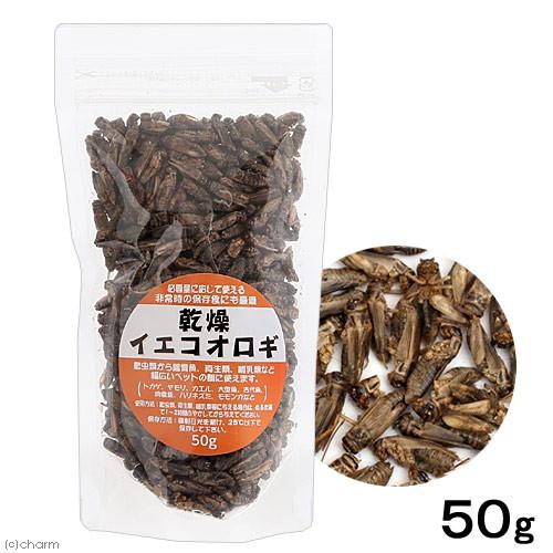 乾燥イエコオロギ ５０ｇ 約６００ ６５０匹入り 爬虫類 餌 エサ フタホシ コオロギ チャーム Charm Paypayモール店 通販 Paypayモール