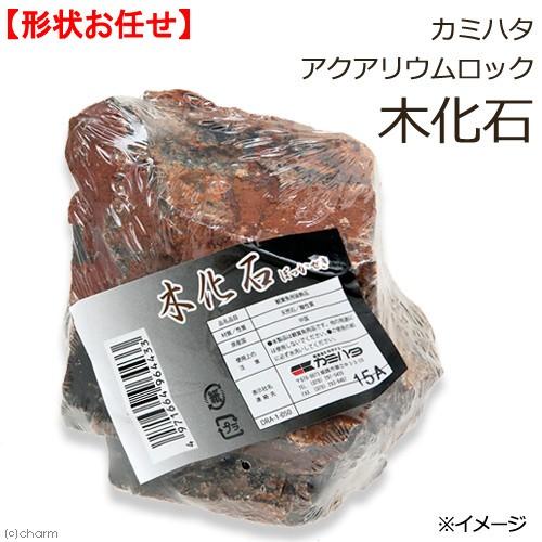 カミハタ アクアリウムロック 木化石 形状お任せ : チャーム charm