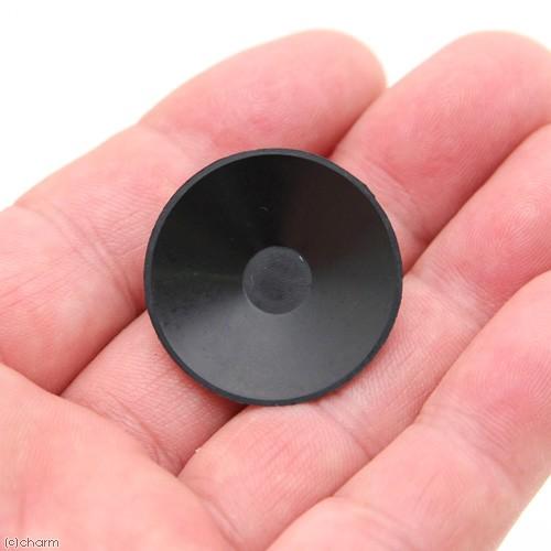 GEX（ジェックス） 交換用キスゴム 交換パーツ×2個 : チャーム charm