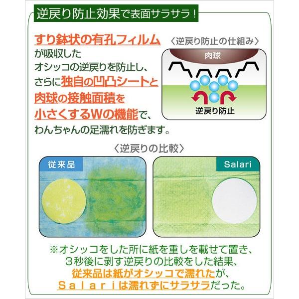 ライオン　瞬乾ペットシート　Ｓａｌａｒｉ　レギュラー　５０枚×４個　ペットシーツ | LION（ペット） | 02