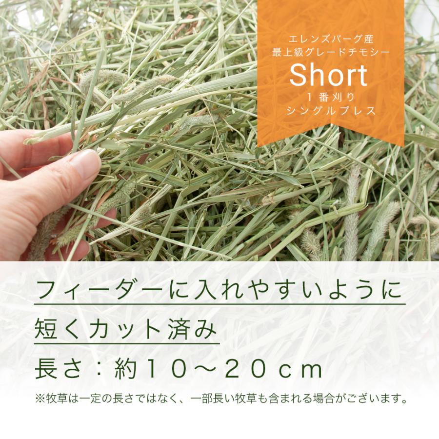 Leaf Corp 令和7年産 スーパープレミアムホースチモシー ショート