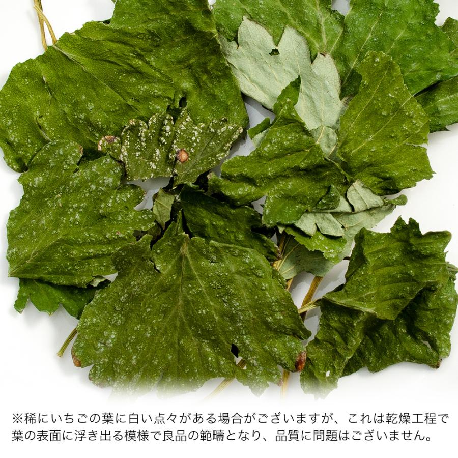 Leaf Corp 国産 いちごの葉 10g 小動物のおやつ うさぎ ハムスター