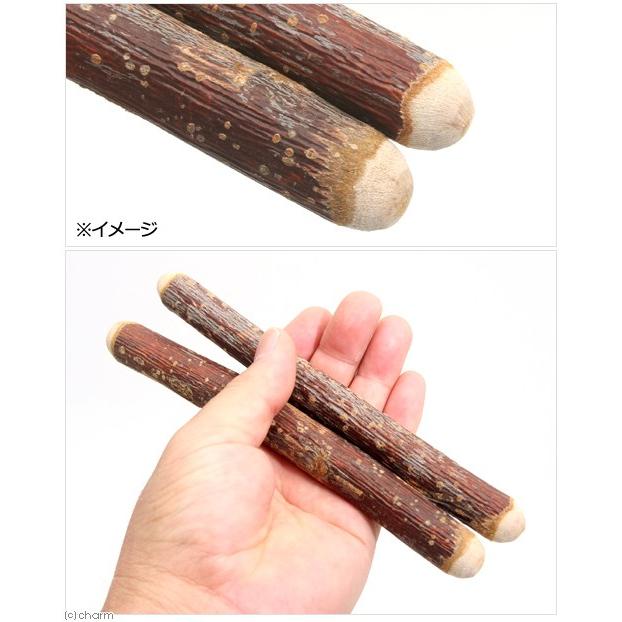 ついに再販開始 国産 さくらんぼの木 犬用 ２本入 おもちゃ 無添加 無着色 小型犬 中型犬950円 Whitesforracialequity Org