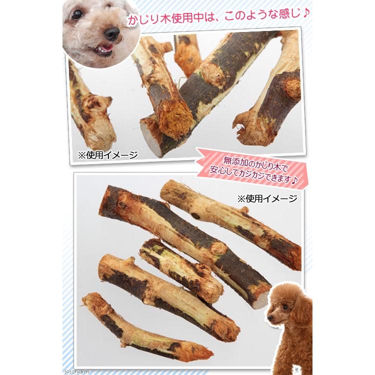 ついに再販開始 国産 さくらんぼの木 犬用 ２本入 おもちゃ 無添加 無着色 小型犬 中型犬950円 Whitesforracialequity Org