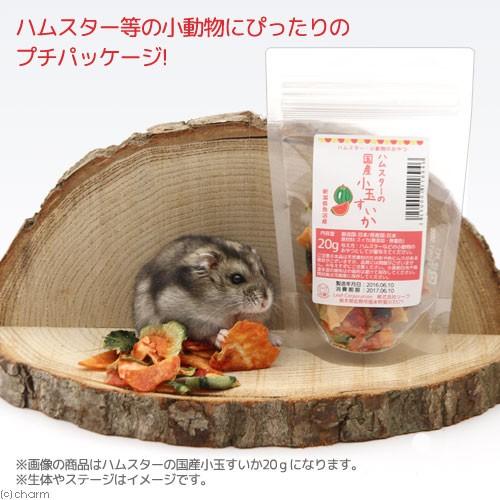 ハムスター　おやつ　ハムスターの国産いちご　１０ｇ　プチサイズ　小動物用のおやつ　ハムスター　無添加　無着色｜chanet｜04