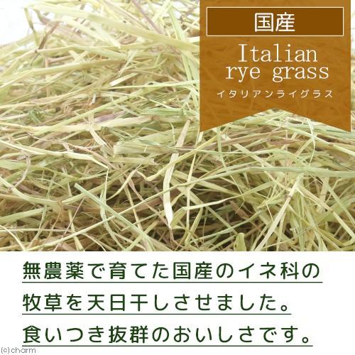 新刈 国産 天日干し イタリアンライグラス ２５０ｇ チャック袋 うさぎ 牧草 チャーム Charm Paypayモール店 通販 Paypayモール